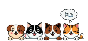 petshoodcats-removebg-preview