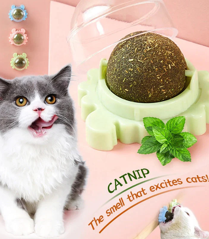 1 (2) Wall Catnip - Image 1