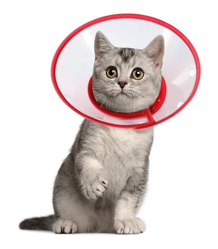 1 (4) Cat adjustable E collar button - Image 1