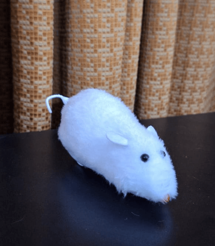 2 (1) (1) Cat Mouse - Image 1