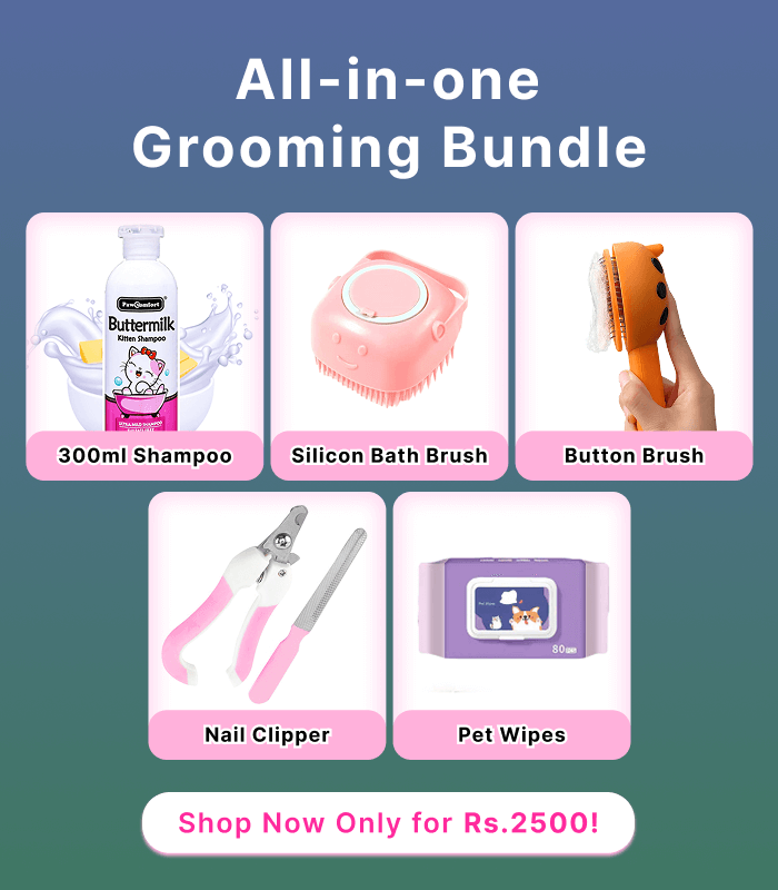 Grooming Bundle Product Image Grooming Essential Items (Pet Wipes, Silicon Brush, 1 Paw comfort, Lady bug brush, Nail clipper) - Image 1