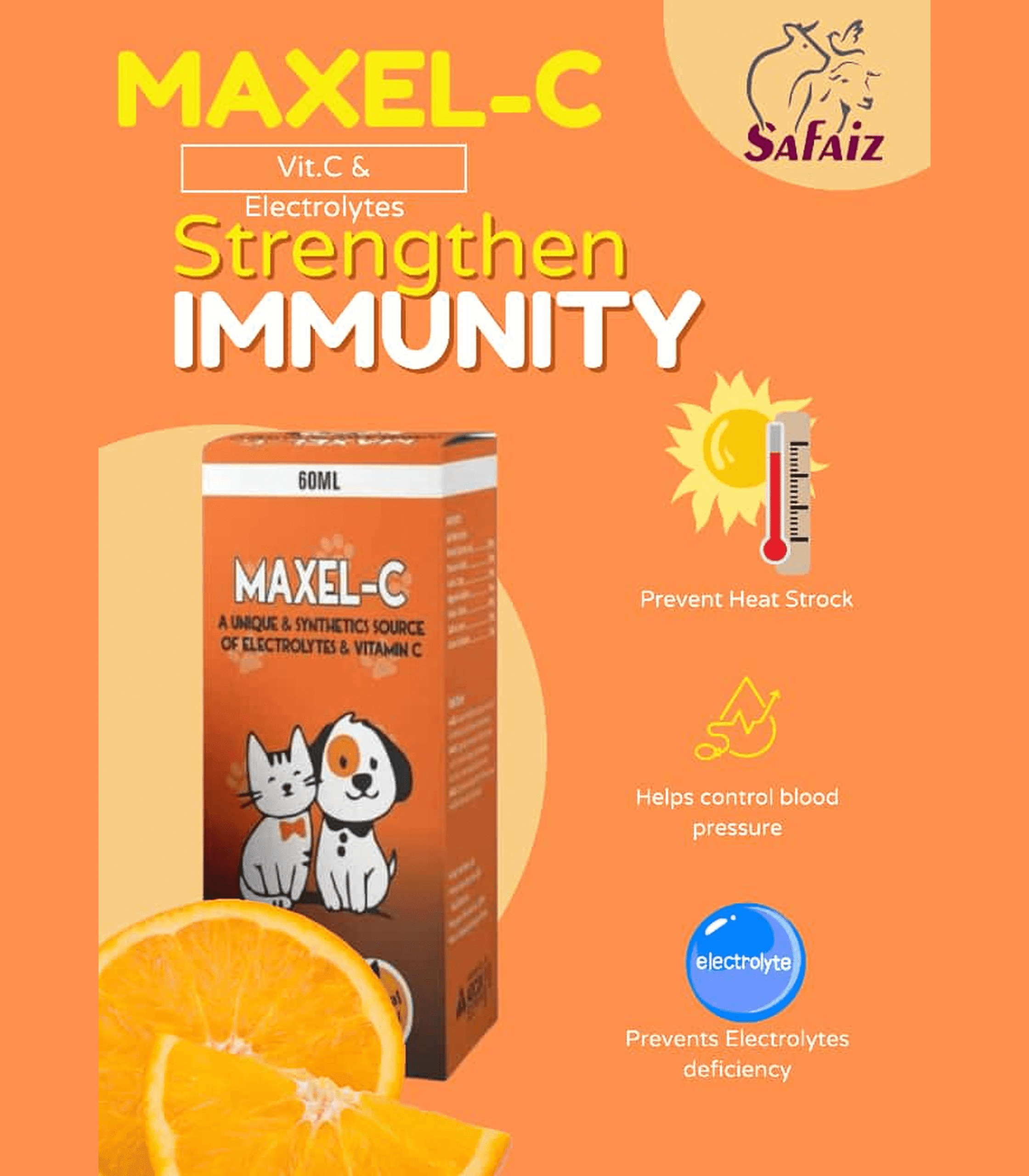 1 Maxel-C Syrup 60ml - Image 1