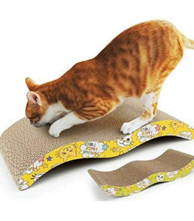 Curved Scratcher Board