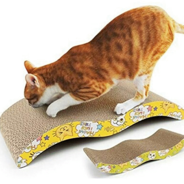 Curved Scratcher Board