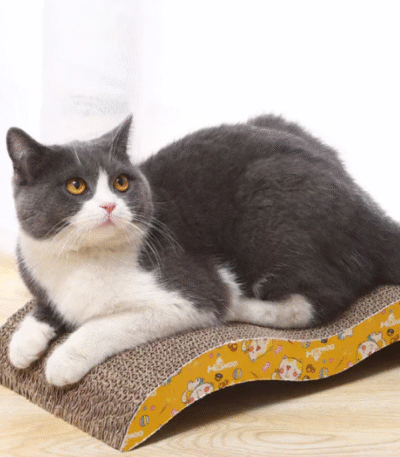 Curved Scratcher Board