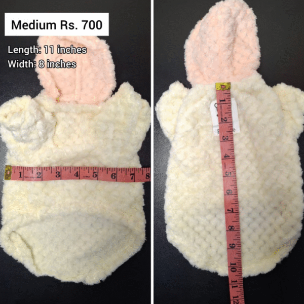 Cat Hoodie (Off-White Color)