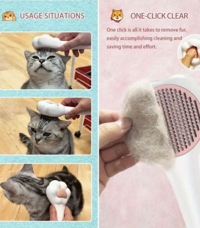 Paw Shape Button Brush (With Box)