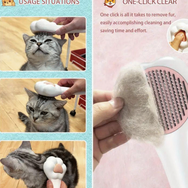 Paw Shape Button Brush (With Box)