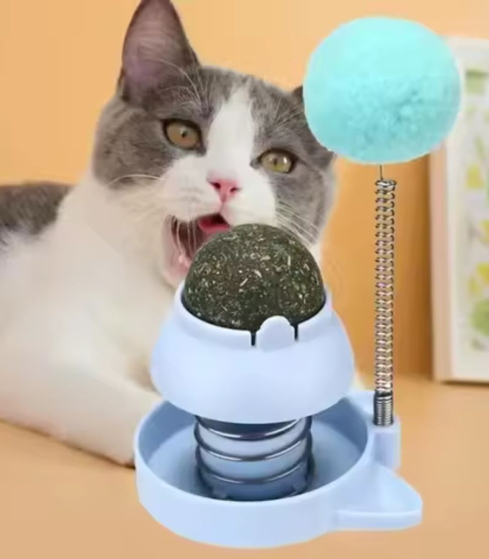 Frame 1171278157 Catnip Ball Toy - Image 1