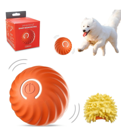 Rechargeable Bouncing Ball