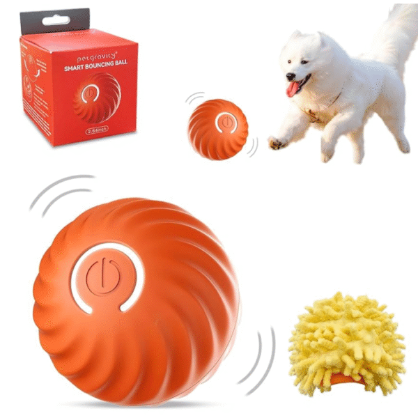 Rechargeable Bouncing Ball