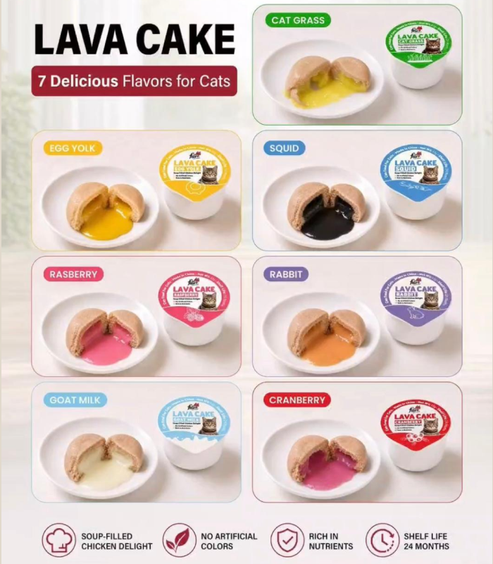 Frame 1171278381 Pet Flori Lava Cake - Image 1