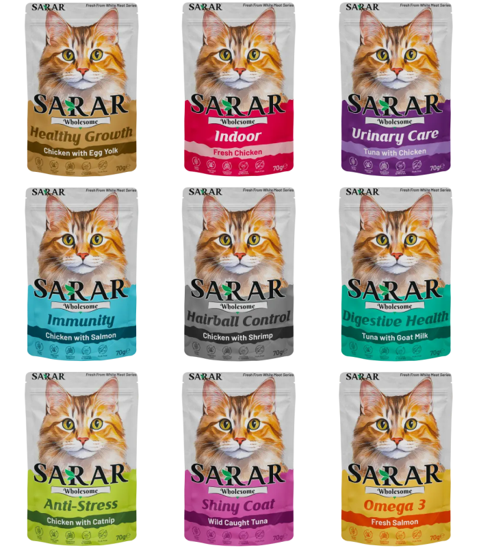 Frame 1171278427 Sarar Wholesome Pouch 70g - Image 1